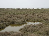 F, Bouches-du-Rhone, Arles, Domaine de la Pallisade 4, Saxifraga-Willem van Kruijsbergen