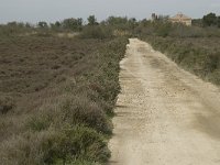 F, Bouches-du-Rhone, Arles, Domaine de la Pallisade 5, Saxifraga-Willem van Kruijsbergen