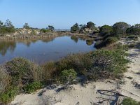 F, Bouches-du-Rhone, Arles, Etang des Batayolles 1, Saxifraga-Mark Zekhuis