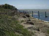 F, Bouches-du-Rhone, Saintes Maries de la Mer, Etang de Vaccares 17, Saxifraga-Marijke Verhagen