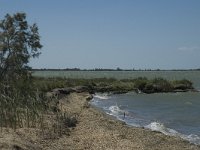 F, Bouches-du-Rhone, Saintes Maries de la Mer, Etang de Vaccares 2, Saxifraga-Marijke Verhagen