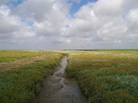 D, Schleswig-Holstein, Hallig Hamburg 2, Foto Fitis-Sytske Dijksen