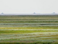 D, Schleswig-Holstein, Hallig Hamburg 3, Foto Fitis-Sytske Dijksen