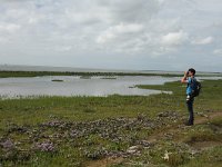 NL, Friesland, Terschelling, De Grie 17, Saxifraga-Dirk Hilbers