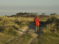 NL, Friesland, Terschelling, Groede 19, Saxifraga-Jan van der Straaten