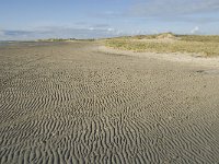 NL, Friesland, Terschelling, Noordsvaarder 18, Saxifraga-Jan van der Straaten