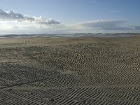 NL, Friesland, Terschelling, Noordsvaarder 19, Saxifraga-Jan van der Straaten