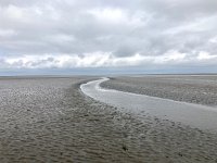 NL, Groningen, Het Hogeland, Pieterburen 64, Saxifraga-Willem van Kruijsbergen