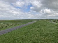 NL, Groningen, Het Hogeland, Pieterburen 73, Saxifraga-Willem van Kruijsbergen