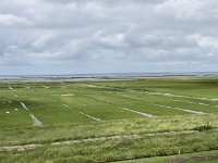 NL, Groningen, Het Hogeland, Pieterburen 76, Saxifraga-Willem van Kruijsbergen