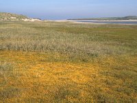 NL, Noord-Holland, Texel, De Slufter 11, Foto Fitis-Sytske Dijksen