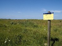 NL, Zuid-Holland, Goeree-Overflakkee, Kwade Hoek 16, Saxifraga-Willem van Kruijsbergen