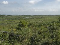 NL, Zuid-Holland, Goeree-Overflakkee, Kwade Hoek 2, Saxifraga-Willem van Kruijsbergen