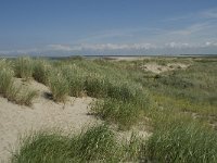 NL, Zuid-Holland, Goeree-Overflakkee, Kwade Hoek 25, Saxifraga-Willem van Kruijsbergen