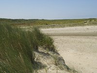 NL, Zuid-Holland, Goeree-Overflakkee, Kwade Hoek 34, Saxifraga-Willem van Kruijsbergen