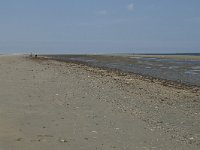 NL, Zuid-Holland, Goeree-Overflakkee, Kwade Hoek 37, Saxifraga-Willem van Kruijsbergen