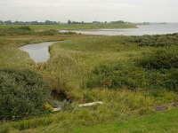 NL, Zuid-Holland, Goeree-Overflakkee, Preekhillpolder 1, Foto Fitis-Sytske Dijksen