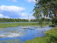 EST, Parnu maakond, Parnu 20, Saxifraga-Hans Boll