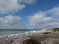 EST, Saaremaa, Tagamoisa hoiuala, 8, Saxifraga-Bart Vastenhouw