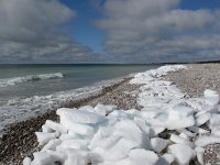 EST, Saaremaa, Tagamoisa hoiuala, 9, Saxifraga-Bart Vastenhouw