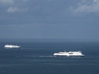 F, Pas-de-Calais, Sangatte, Cap Blanc Nez 6, Saxifraga-Willem van Kruijsbergen