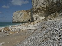 F, Seine-Maritime, Etretat, Pointe de la Courtine 15, Saxifraga-Willem van Kruijsbergen