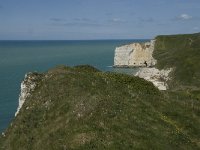 F, Seine-Maritime, Etretat, Pointe de la Courtine 22, Saxifraga-Willem van Kruijsbergen