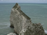 F, Seine-Maritime, Etretat, Porte d Amont 5, Saxifraga-Willem van Kruijsbergen