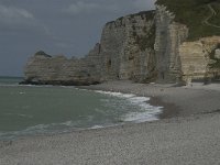 F, Seine-Maritime, Etretat, Porte d Amont 7, Saxifraga-Willem van Kruijsbergen