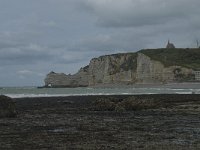 F, Seine-Maritime, Etretat, Porte d Amont 8, Saxifraga-Willem van Kruijsbergen