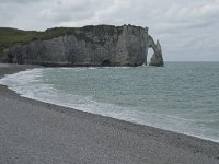 F, Seine-Maritime, Etretat, Porte d Aval 1, Saxifraga-Willem van Kruijsbergen