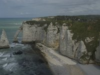 F, Seine-Maritime, Etretat, Porte d Aval 10, Saxifraga-Willem van Kruijsbergen