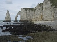 F, Seine-Maritime, Etretat, Porte d Aval 14, Saxifraga-Willem van Kruijsbergen