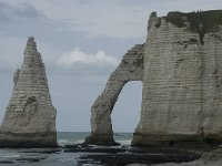 F, Seine-Maritime, Etretat, Porte d Aval 16, Saxifraga-Willem van Kruijsbergen