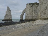 F, Seine-Maritime, Etretat, Porte d Aval 21, Saxifraga-Willem van Kruijsbergen