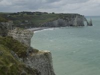 F, Seine-Maritime, Etretat, Porte d Aval 7, Saxifraga-Willem van Kruijsbergen