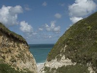 F, Seine-Maritime, Etretat, Valleuse d Antifer 30, Saxifraga-Willem van Kruijsbergen