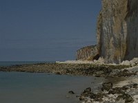 F, Seine-Maritime, Sassetot-le-Mauconduit, Les Grandes Dalles 16, Saxifraga-Willem van Kruijsbergen