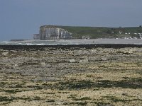 F, Seine-Maritime, Veulettes-sur-Mer 13, Saxifraga-Willem van Kruijsbergen