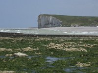 F, Seine-Maritime, Veulettes-sur-Mer 9, Saxifraga-Willem van Kruijsbergen