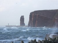 D, Schleswig-Holstein, Helgoland 26, Saxifraga-Bart Vastenhouw