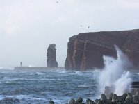 D, Schleswig-Holstein, Helgoland 27, Saxifraga-Bart Vastenhouw