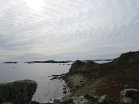 GB, Isles of Scilly, St Agnes 4, Saxifraga-Mark Zekhuis