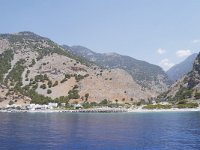 GR, Chania, Sfakia, Agia Roumeli, Saxifraga-Tom Heijnen