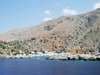 GR, Chania, Sfakia, Loutro, Saxifraga-Tom Heijnen