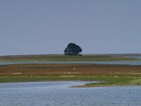 Lady's Island  Landschap Atlantische Oceaan Ierland