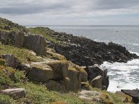 IRL, Wexford, Saltee Islands 3, Saxifraga-Peter Stein