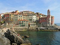 I, Liguria, Lerici, Telaro 1, Saxifraga-Hans Dekker