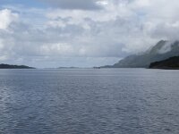 N, Nordland, Meloy, Holandsfjorden 1, Saxifraga-Willem van Kruijsbergen
