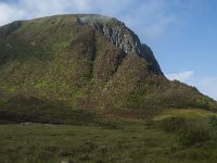 N, Nordland, Andoy, Nordmela 4, Saxifraga-Jan van der Straaten